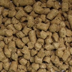 casca de soja peletizada