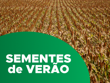 post-sementes de verão