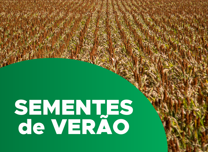 post-sementes de verão