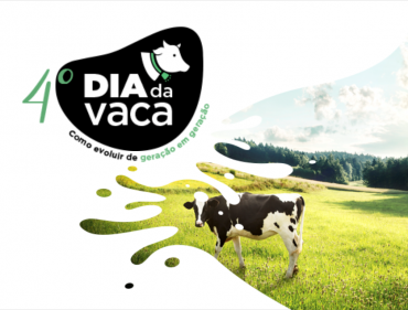 4º dia da vaca
